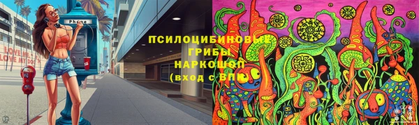 метадон Богданович