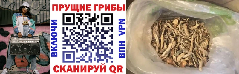 даркнет сайт  Хотьково  Псилоцибиновые грибы Cubensis 